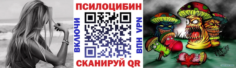 Галлюциногенные грибы мухоморы  где купить наркоту  Андреаполь 